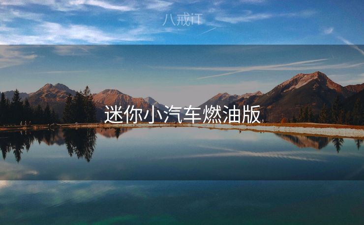 迷你小汽车燃油版