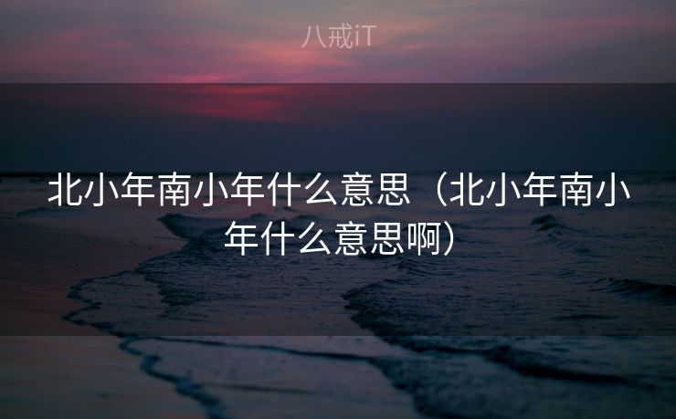北小年南小年什么意思（北小年南小年什么意思啊）