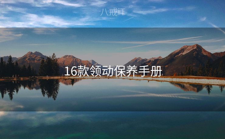 16款领动保养手册