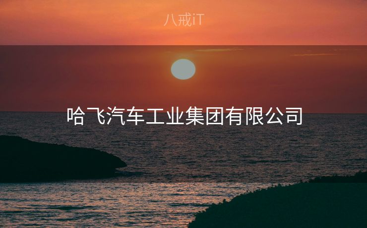 哈飞汽车工业集团有限公司
