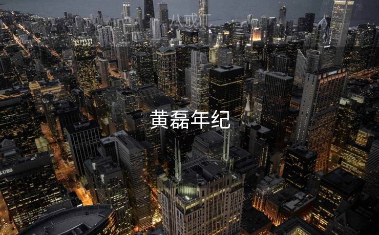 黄磊年纪