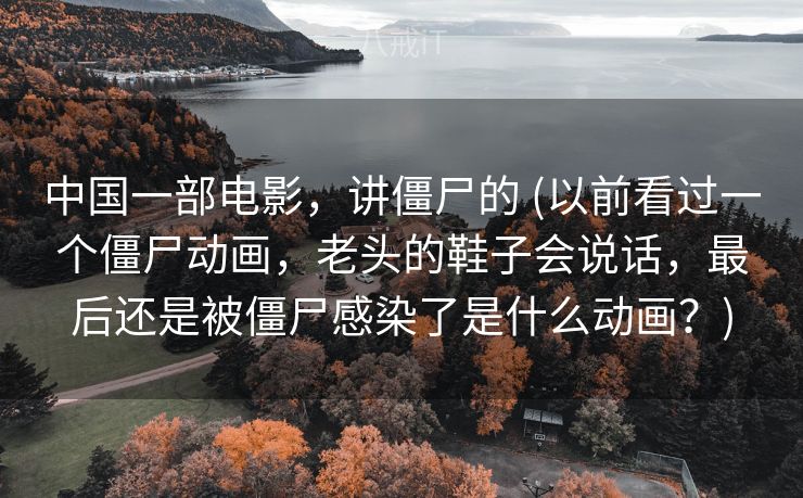 中国一部电影，讲僵尸的 (以前看过一个僵尸动画，老头的鞋子会说话，最后还是被僵尸感染了是什么动画？)