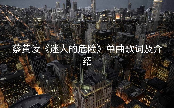 蔡黄汝《迷人的危险》单曲歌词及介绍