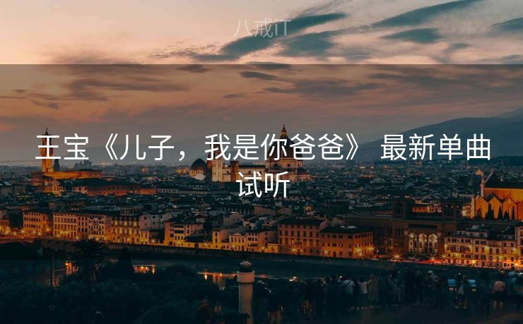 王宝《儿子，我是你爸爸》 最新单曲试听
