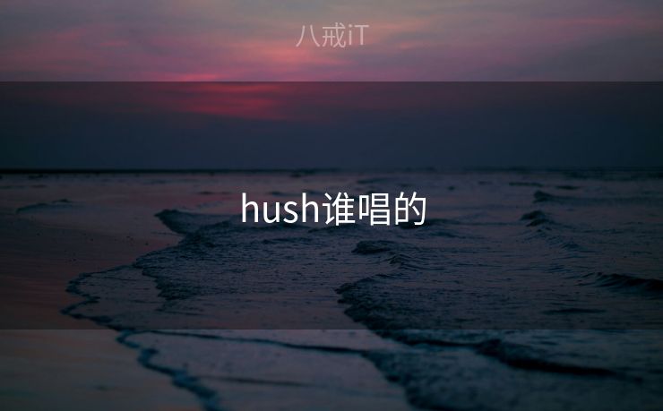 hush谁唱的