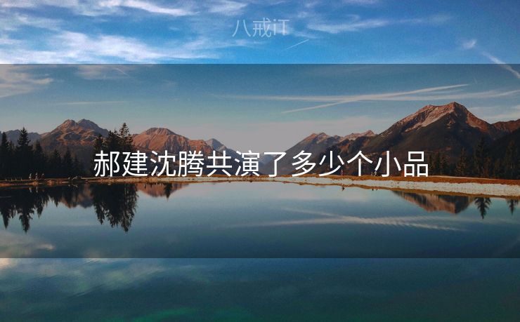 郝建沈腾共演了多少个小品