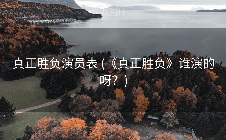 真正胜负演员表 (《真正胜负》谁演的呀？)