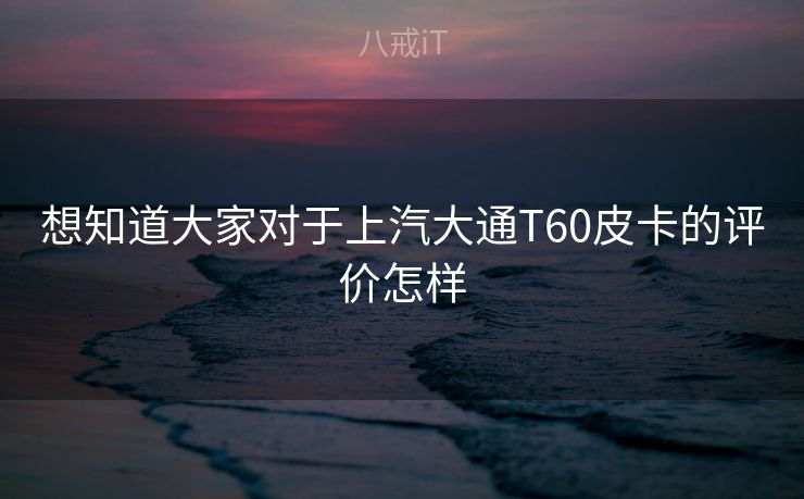想知道大家对于上汽大通T60皮卡的评价怎样 想知道大家对于上汽大通T60皮卡的评价怎样