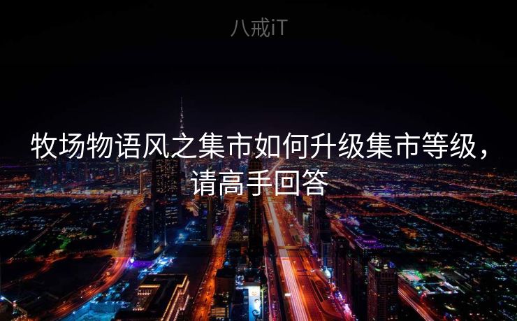 牧场物语风之集市如何升级集市等级，请高手回答