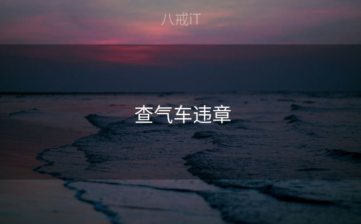 查气车违章