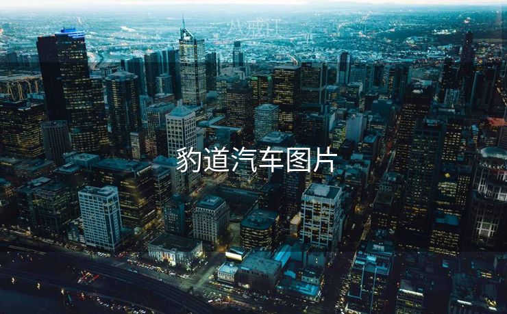  豹道汽车图片