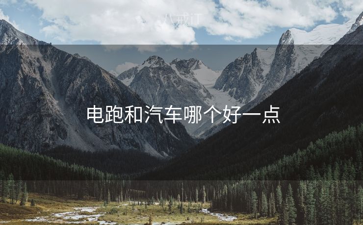 电跑和汽车哪个好一点