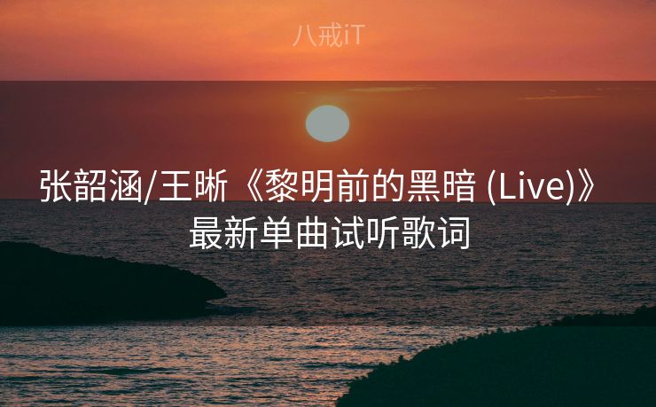 张韶涵/王晰《黎明前的黑暗 (Live)》 最新单曲试听歌词