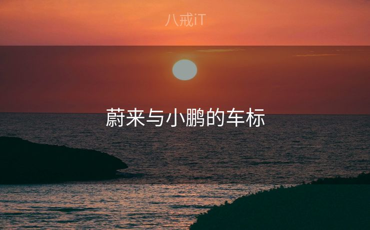 蔚来与小鹏的车标