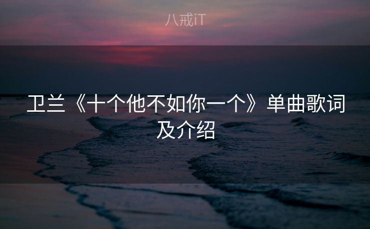 卫兰《十个他不如你一个》单曲歌词及介绍