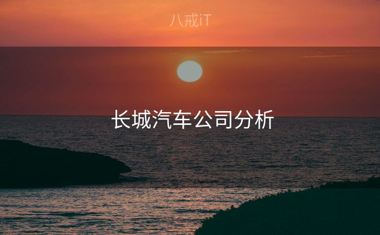  长城汽车公司分析