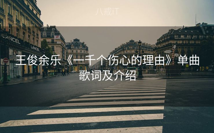 王俊余乐《一千个伤心的理由》单曲歌词及介绍