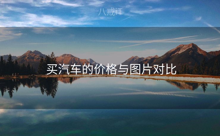  买汽车的价格与图片对比