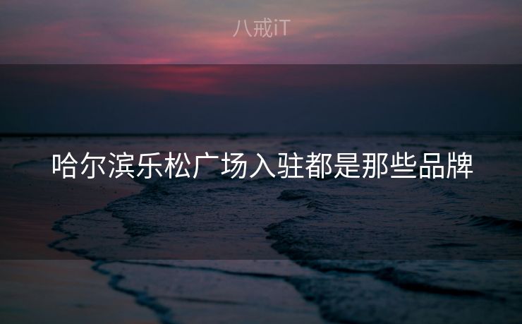 哈尔滨乐松广场入驻都是那些品牌