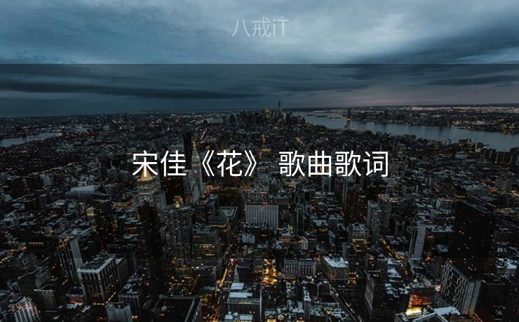 宋佳《花》 歌曲歌词