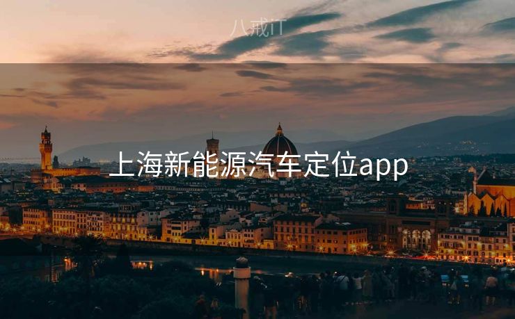 上海新能源汽车定位app