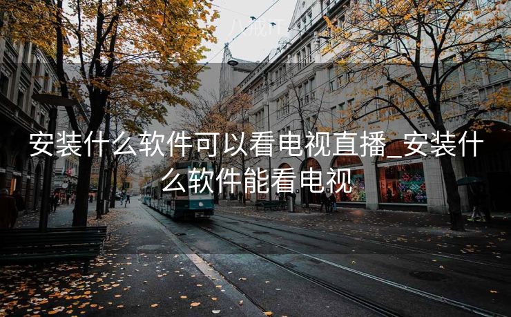 安装什么软件可以看电视直播_安装什么软件能看电视