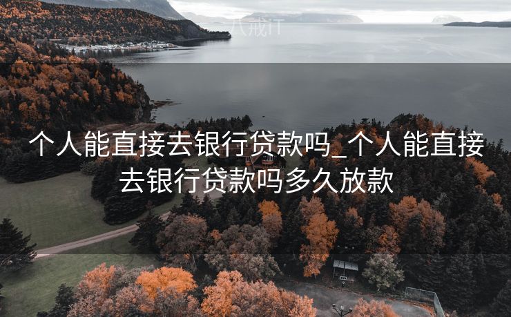 个人能直接去银行贷款吗_个人能直接去银行贷款吗多久放款 个人能直接去银行贷款吗_个人能直接去银行贷款吗多久放款