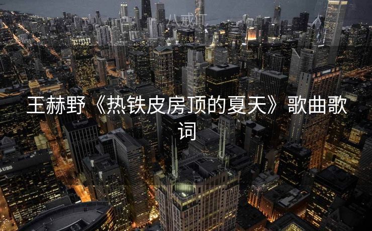 王赫野《热铁皮房顶的夏天》歌曲歌词