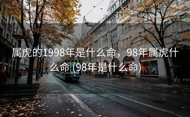 属虎的1998年是什么命，98年属虎什么命 (98年是什么命)