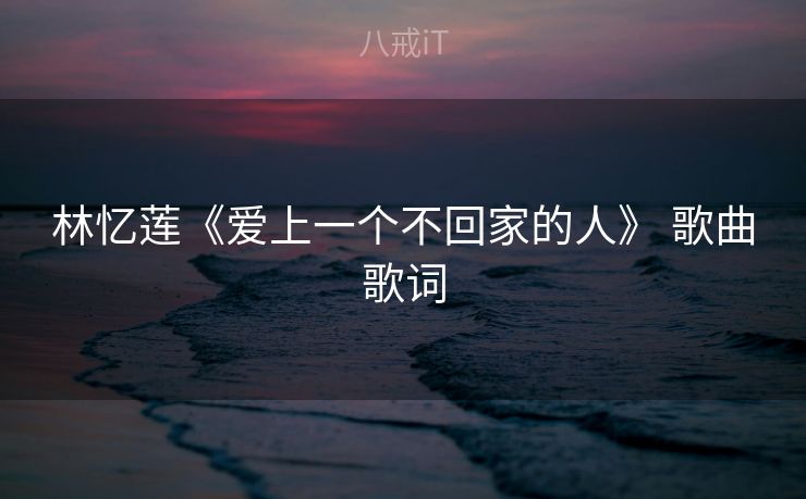 林忆莲《爱上一个不回家的人》 歌曲歌词