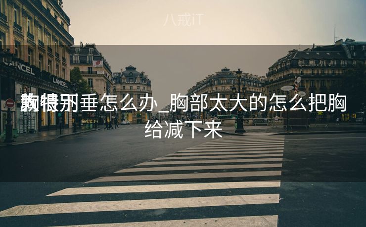 胸特别

大特别

软很下垂怎么办_胸部太大的怎么把胸给减下来