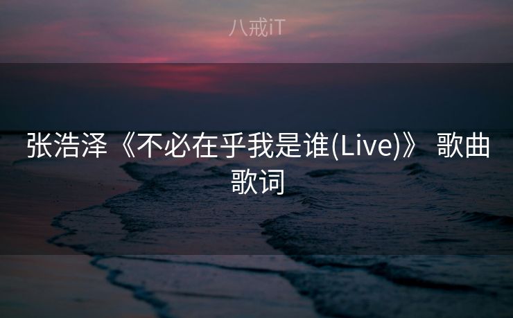 张浩泽《不必在乎我是谁(Live)》 歌曲歌词