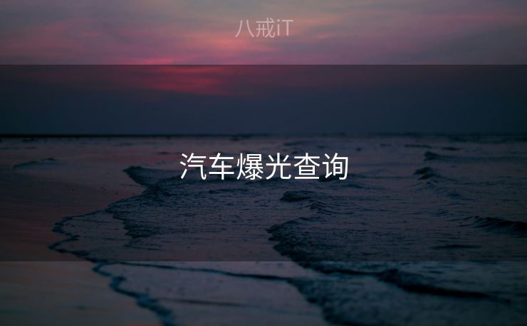 汽车爆光查询