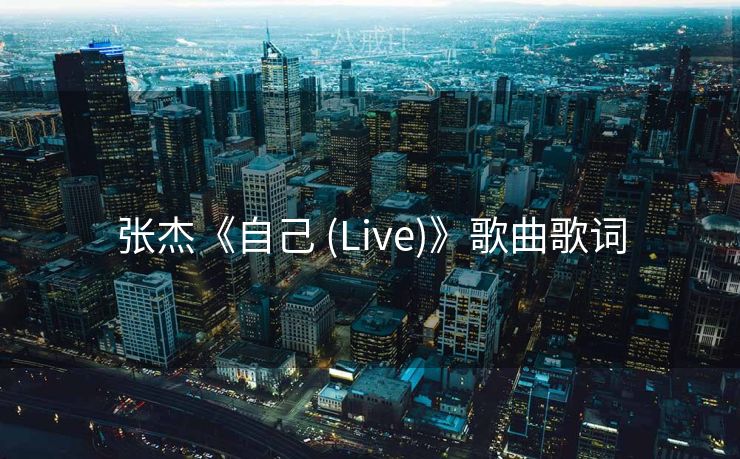 张杰《自己 (Live)》歌曲歌词
