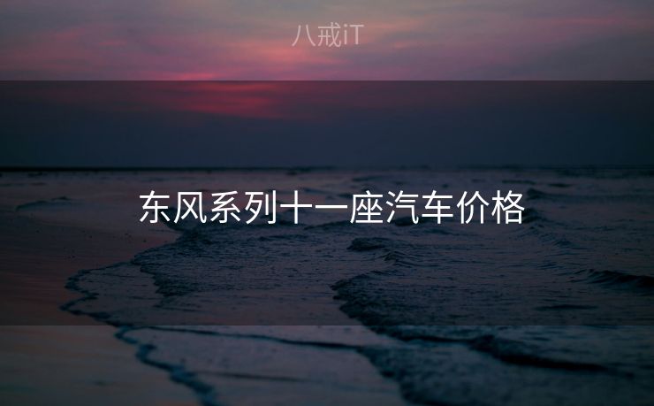  东风系列十一座汽车价格