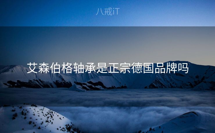 艾森伯格轴承是正宗德国品牌吗