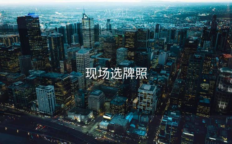 现场选牌照