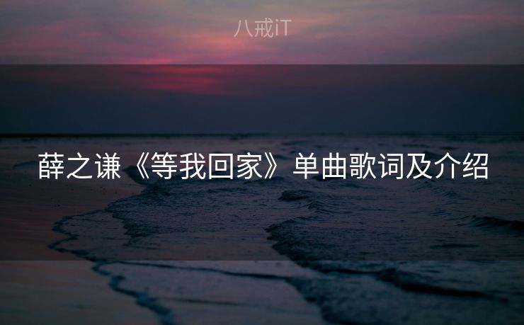薛之谦《等我回家》单曲歌词及介绍