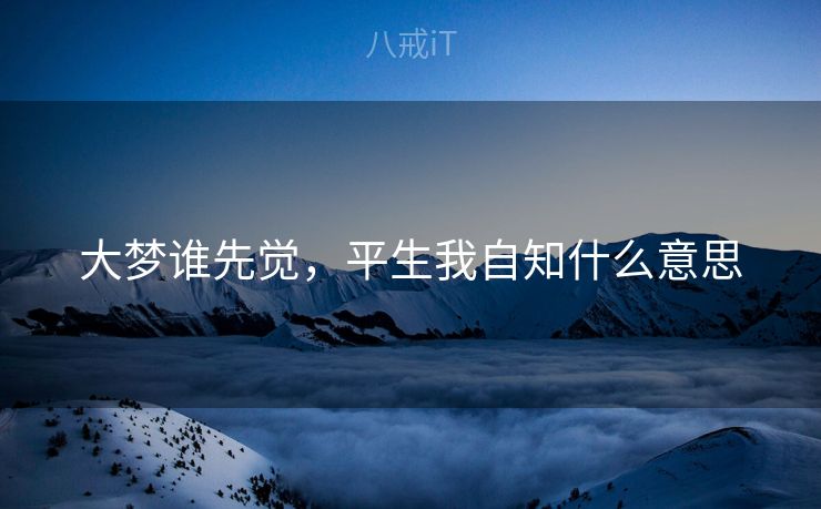 大梦谁先觉，平生我自知什么意思