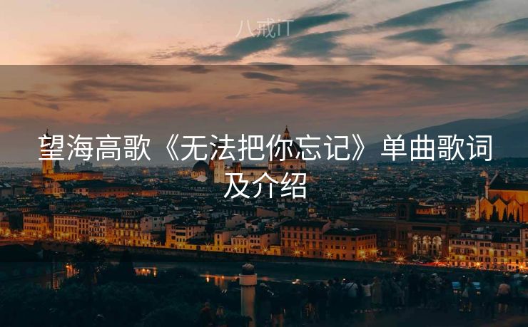 望海高歌《无法把你忘记》单曲歌词及介绍