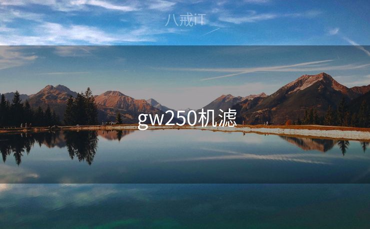  gw250机滤