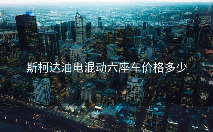 斯柯达油电混动六座车价格多少