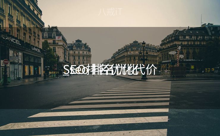 SEO排名优化代价
_seo 排名优化