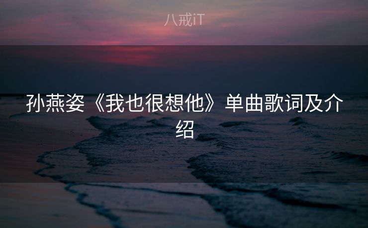 孙燕姿《我也很想他》单曲歌词及介绍