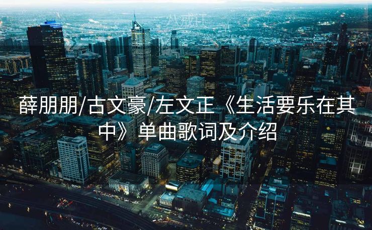 薛朋朋/古文豪/左文正《生活要乐在其中》单曲歌词及介绍