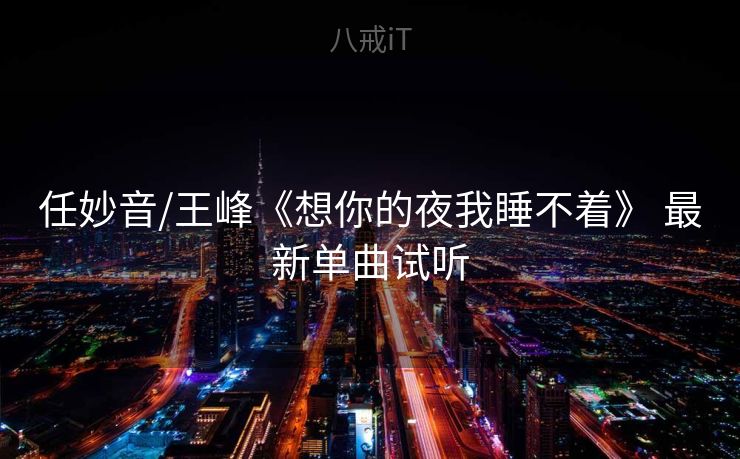 任妙音/王峰《想你的夜我睡不着》 最新单曲试听