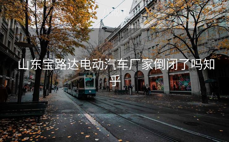  山东宝路达电动汽车厂家倒闭了吗知乎