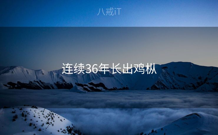 连续36年长出鸡枞