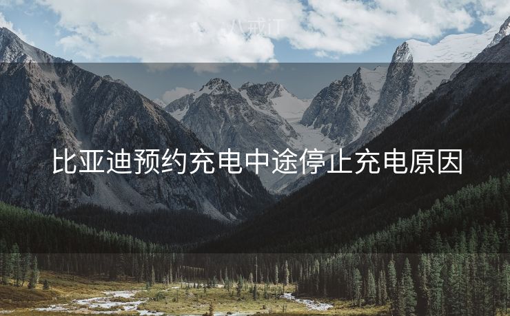 比亚迪预约充电中途停止充电原因