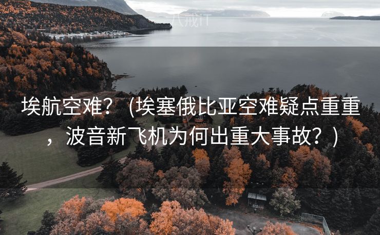 埃航空难？ (埃塞俄比亚空难疑点重重，波音新飞机为何出重大事故？)